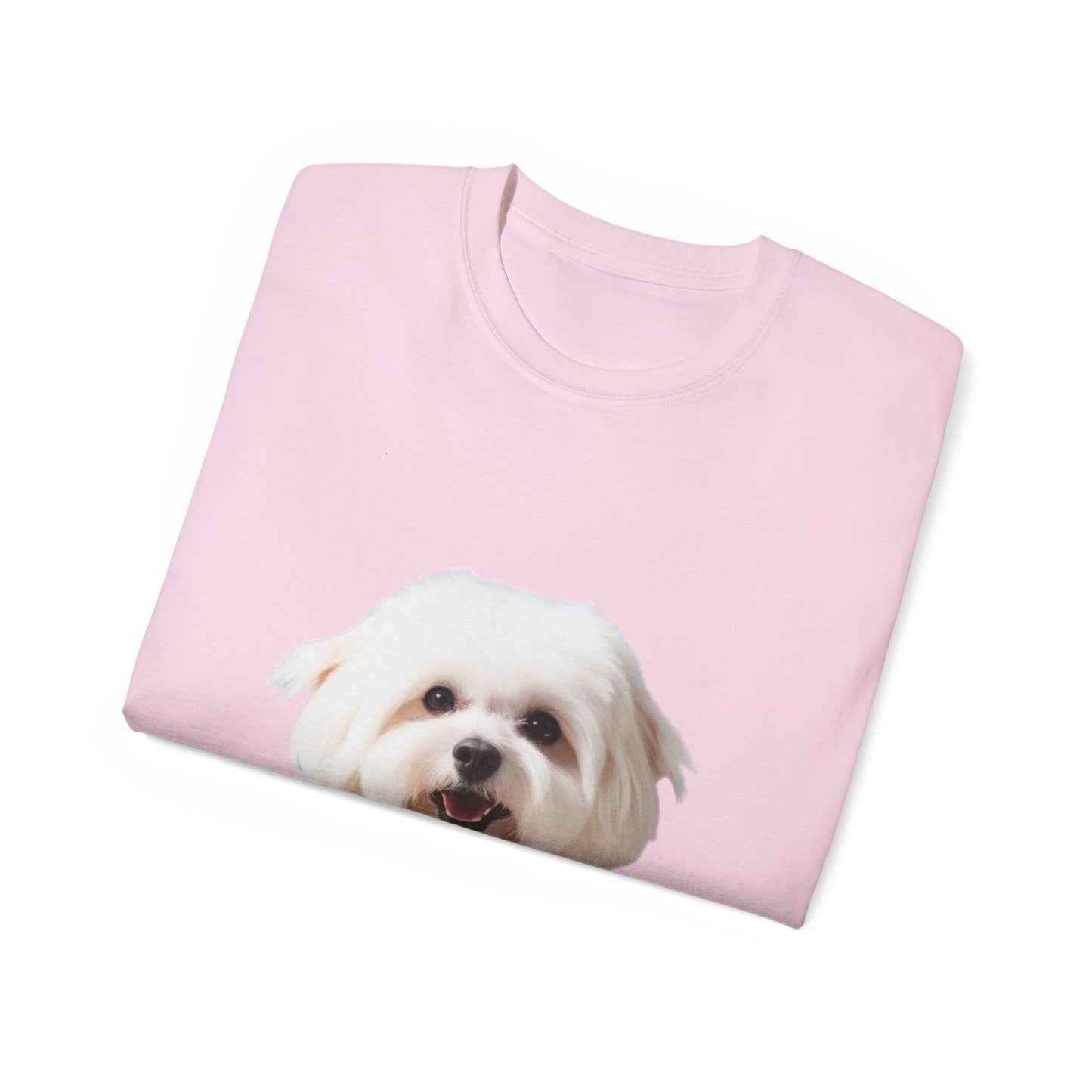 🐕 Bichon Frisé - Maglietta Unisex Ultra Cotone con Design Esclusivo - Aky & Co.