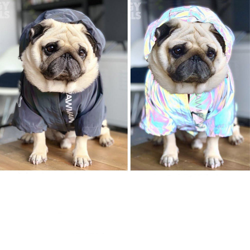 Cappotto Impermeabile per Cane North Dog Face – Antivento e Resistente alla Pioggia, Design Futuristico per Cani Grandi - Aky & Co.