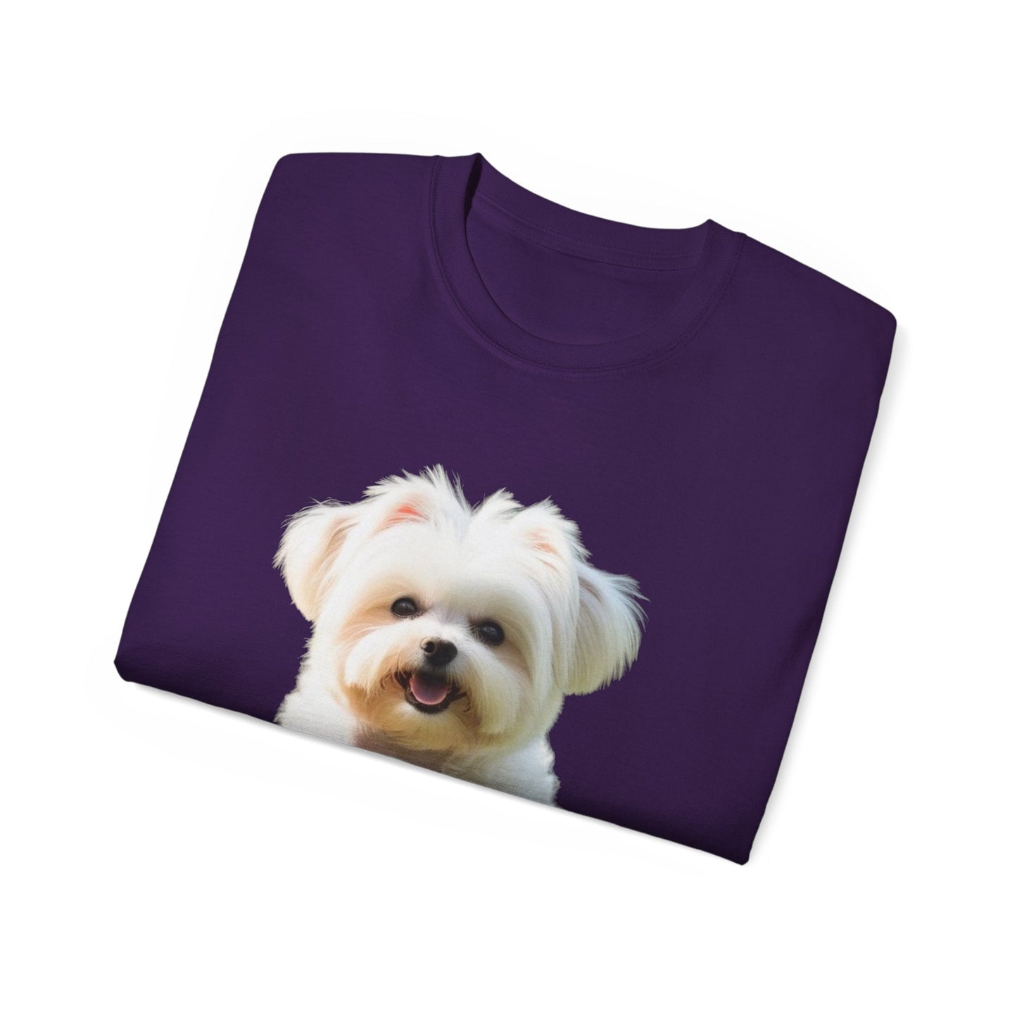🐕 MAGLIETTA BICHON MALTEZ RITRATO - Maglietta Unisex Ultra Cotone - Aky & Co.