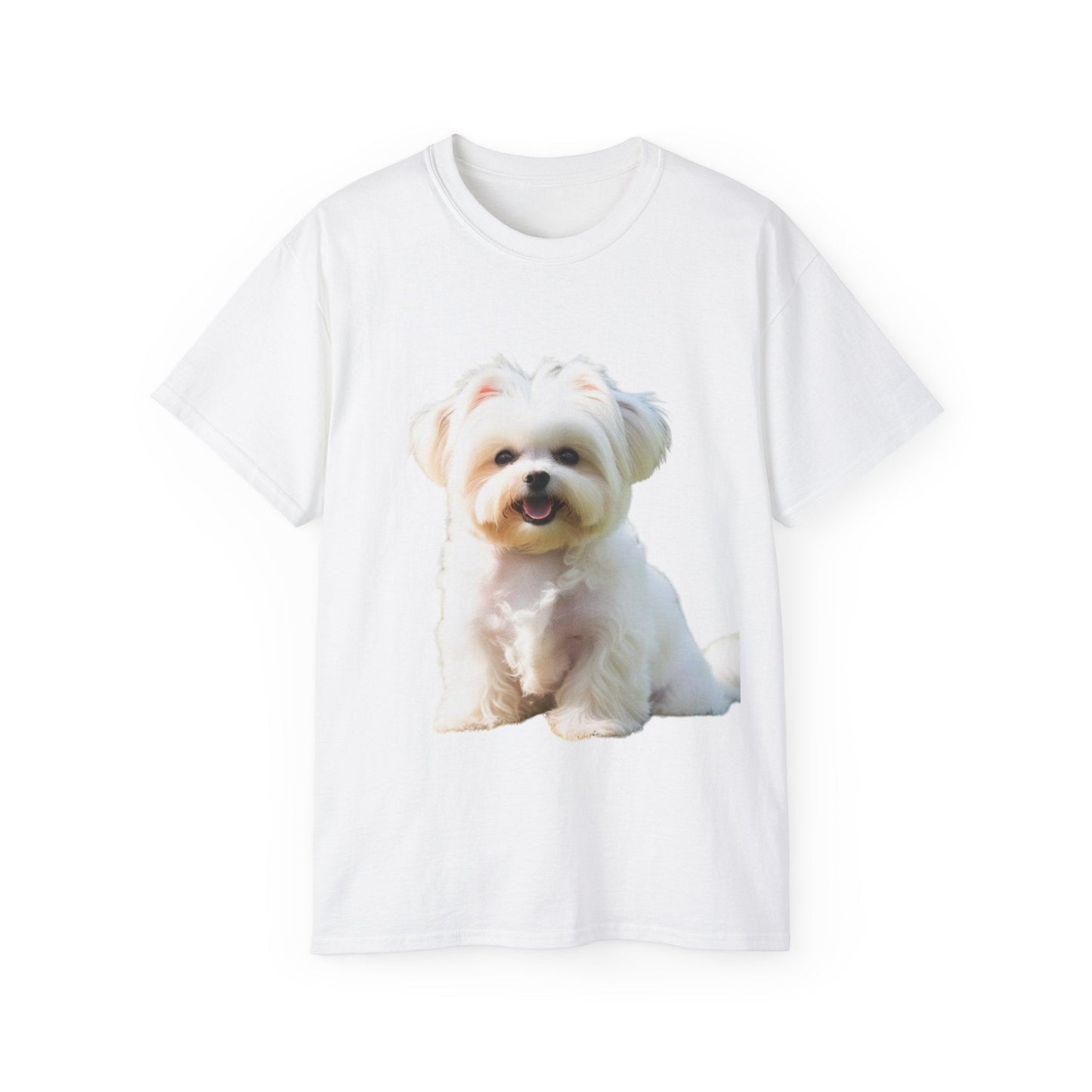 🐕 MAGLIETTA BICHON MALTEZ RITRATO - Maglietta Unisex Ultra Cotone - Aky & Co.