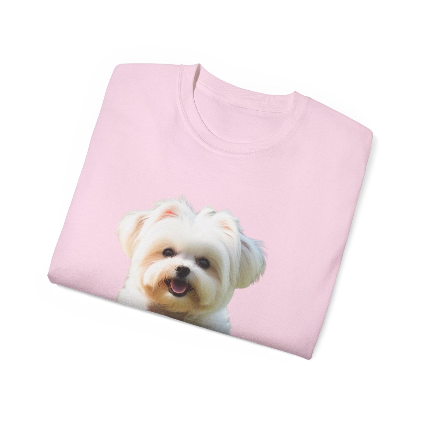 🐕 MAGLIETTA BICHON MALTEZ RITRATO - Maglietta Unisex Ultra Cotone - Aky & Co.