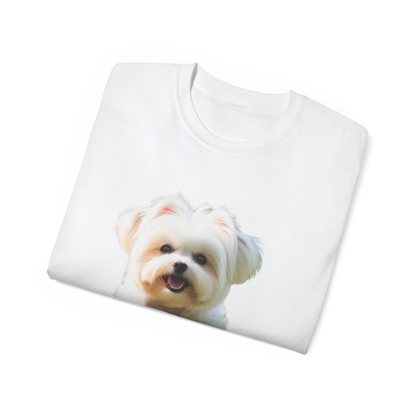🐕 MAGLIETTA BICHON MALTEZ RITRATO - Maglietta Unisex Ultra Cotone - Aky & Co.
