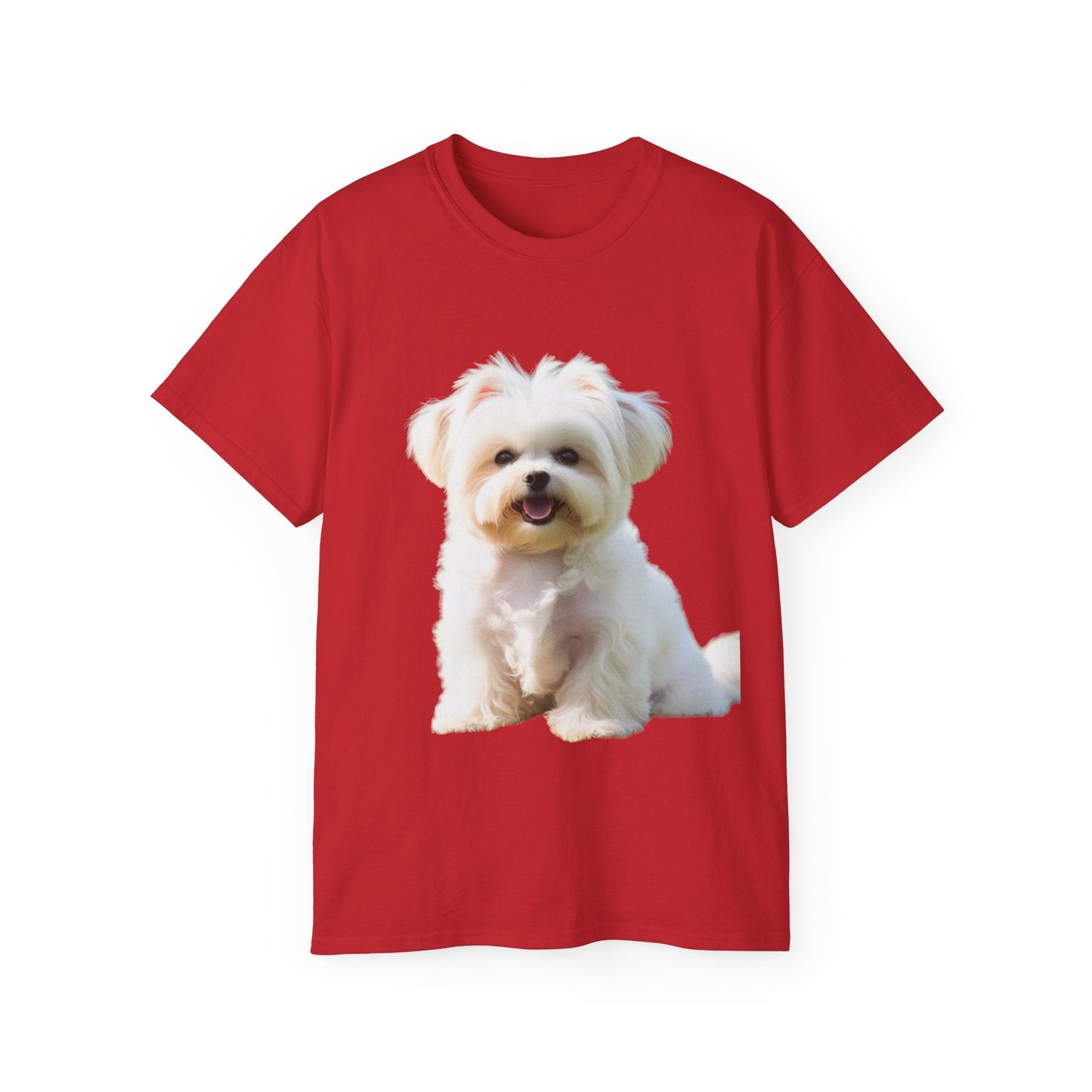 🐕 MAGLIETTA BICHON MALTEZ RITRATO - Maglietta Unisex Ultra Cotone - Aky & Co.