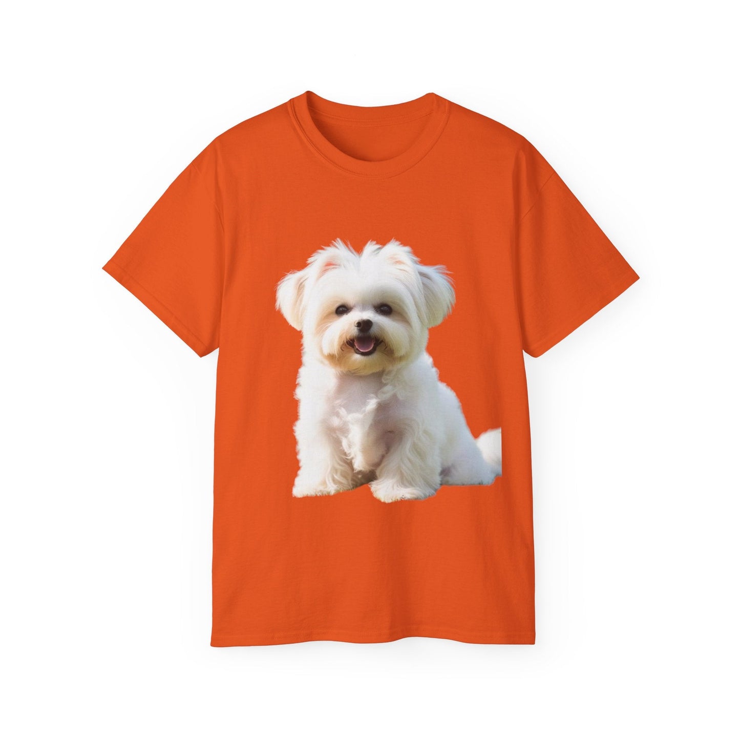 🐕 MAGLIETTA BICHON MALTEZ RITRATO - Maglietta Unisex Ultra Cotone - Aky & Co.