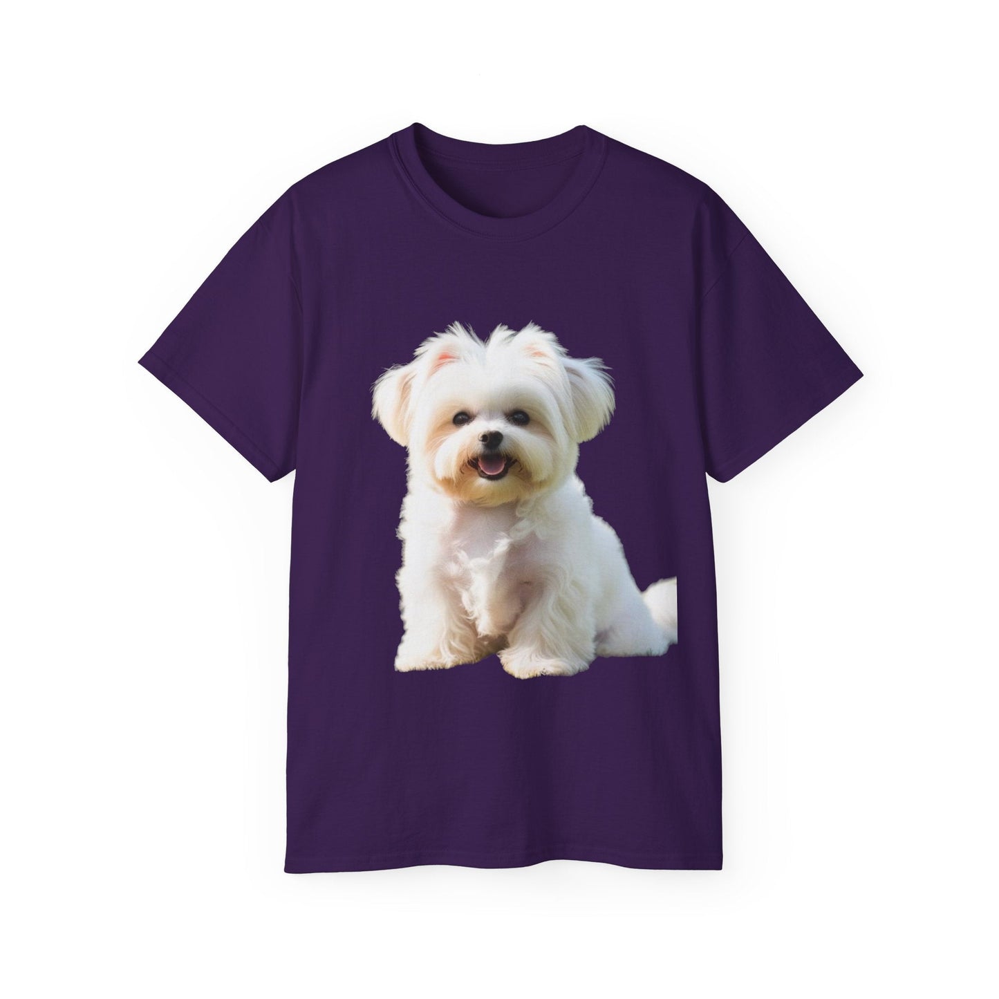🐕 MAGLIETTA BICHON MALTEZ RITRATO - Maglietta Unisex Ultra Cotone - Aky & Co.