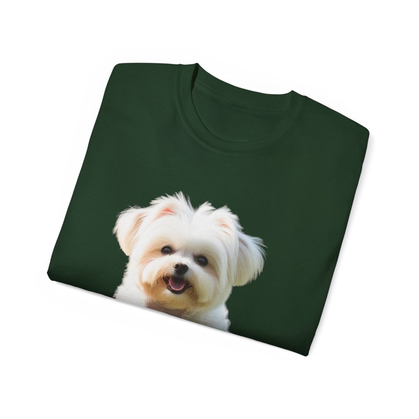 🐕 MAGLIETTA BICHON MALTEZ RITRATO - Maglietta Unisex Ultra Cotone - Aky & Co.