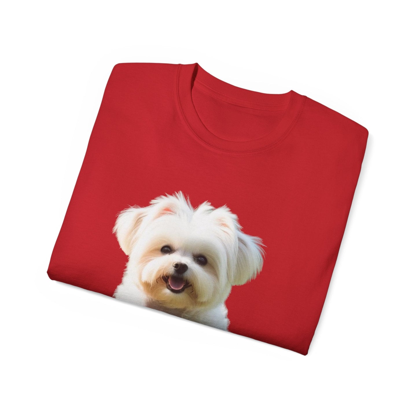 🐕 MAGLIETTA BICHON MALTEZ RITRATO - Maglietta Unisex Ultra Cotone - Aky & Co.