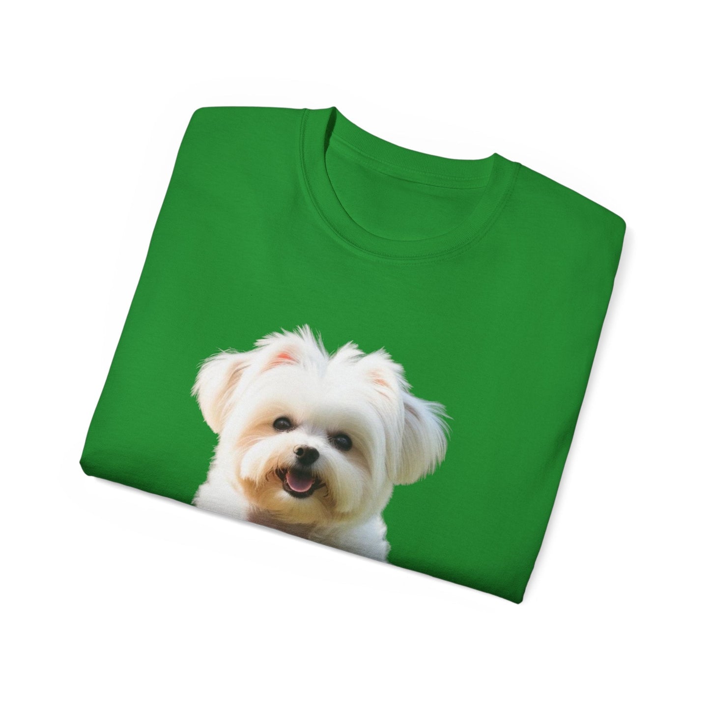🐕 MAGLIETTA BICHON MALTEZ RITRATO - Maglietta Unisex Ultra Cotone - Aky & Co.