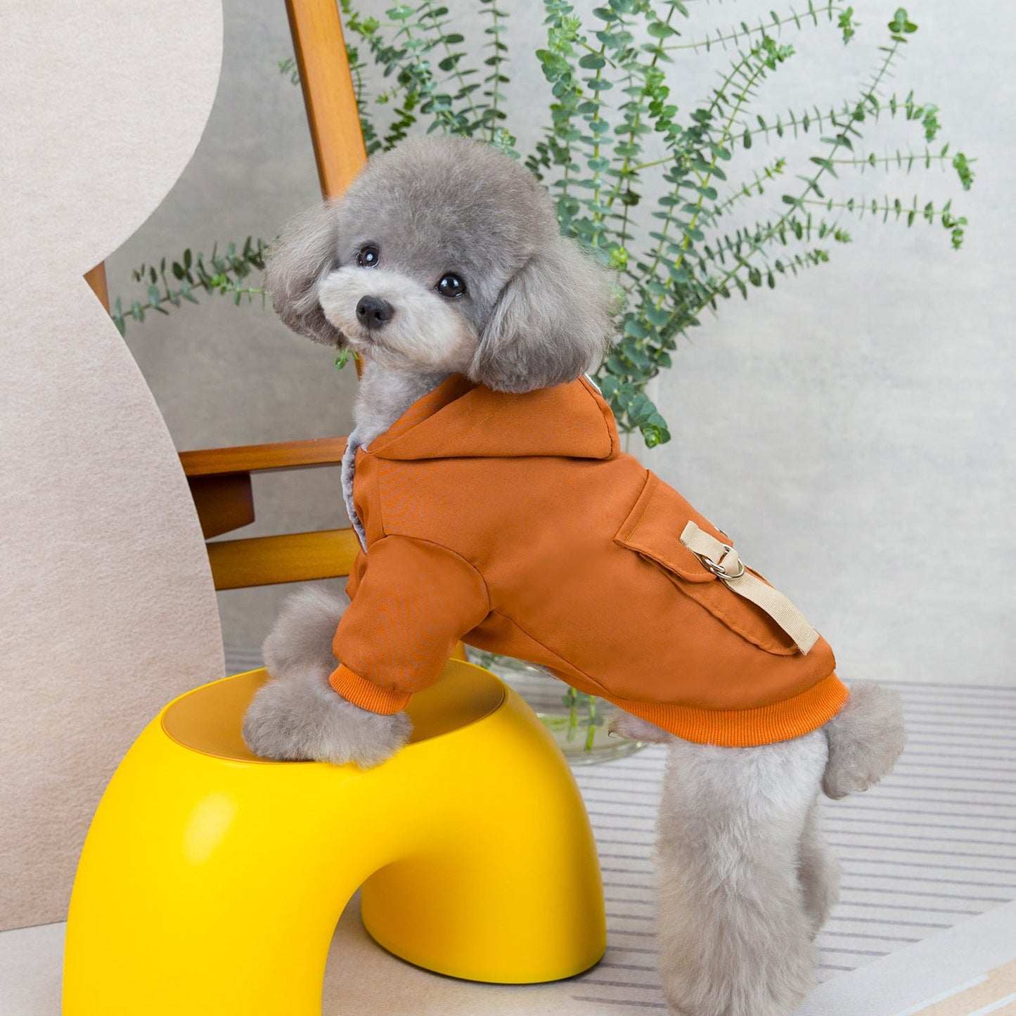 Maglione Casual per Cani e Gatti in Poliestere - Abbigliamento Comodo e Elegante per Animali Domestici - Aky & Co.