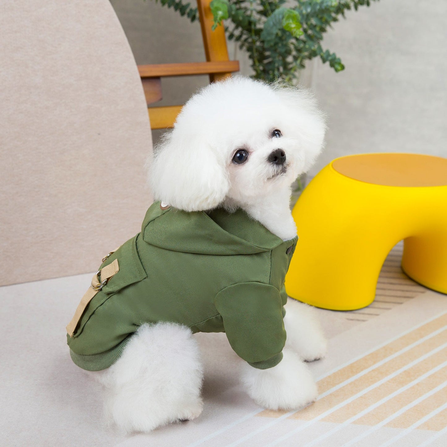 Maglione Casual per Cani e Gatti in Poliestere - Abbigliamento Comodo e Elegante per Animali Domestici - Aky & Co.