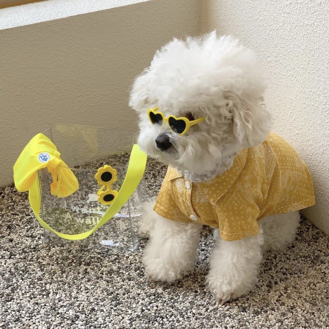Occhiali da Sole Creativi per Cani e Gatti - Accessori alla Moda per Animali - Aky & Co.