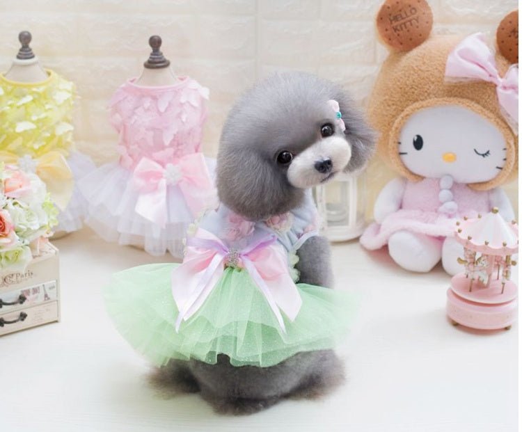 👑 Abito Estivo da Principessa per Cani – Gonna in Tulle e Dettagli in Pizzo - Aky & Co.