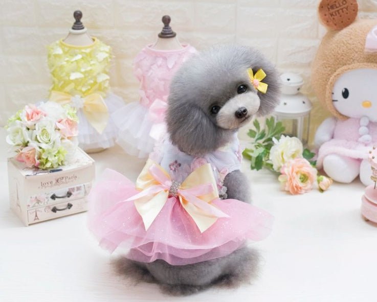 👑 Abito Estivo da Principessa per Cani – Gonna in Tulle e Dettagli in Pizzo - Aky & Co.