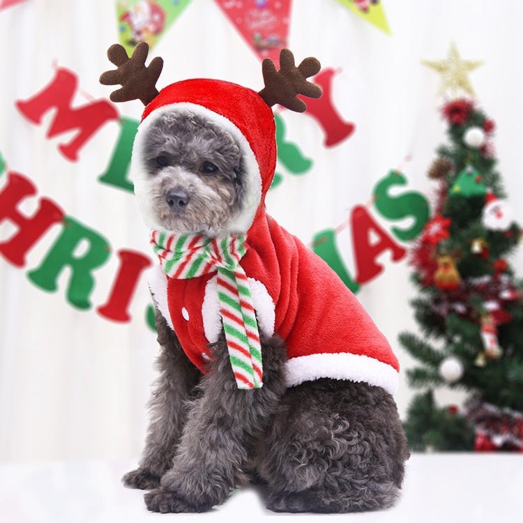 Articoli per Cani di Piccola, Media e Grande Taglia – Vestiti, Orsacchiotti e Cappotti in Cotone - AKYCO