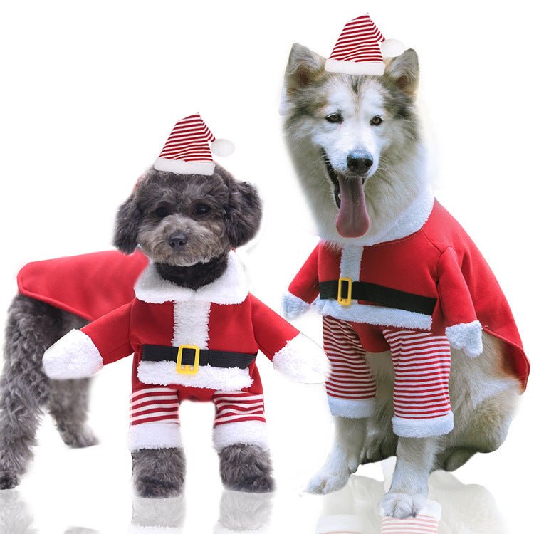 Articoli per Cani di Piccola, Media e Grande Taglia – Vestiti, Orsacchiotti e Cappotti in Cotone - AKYCO