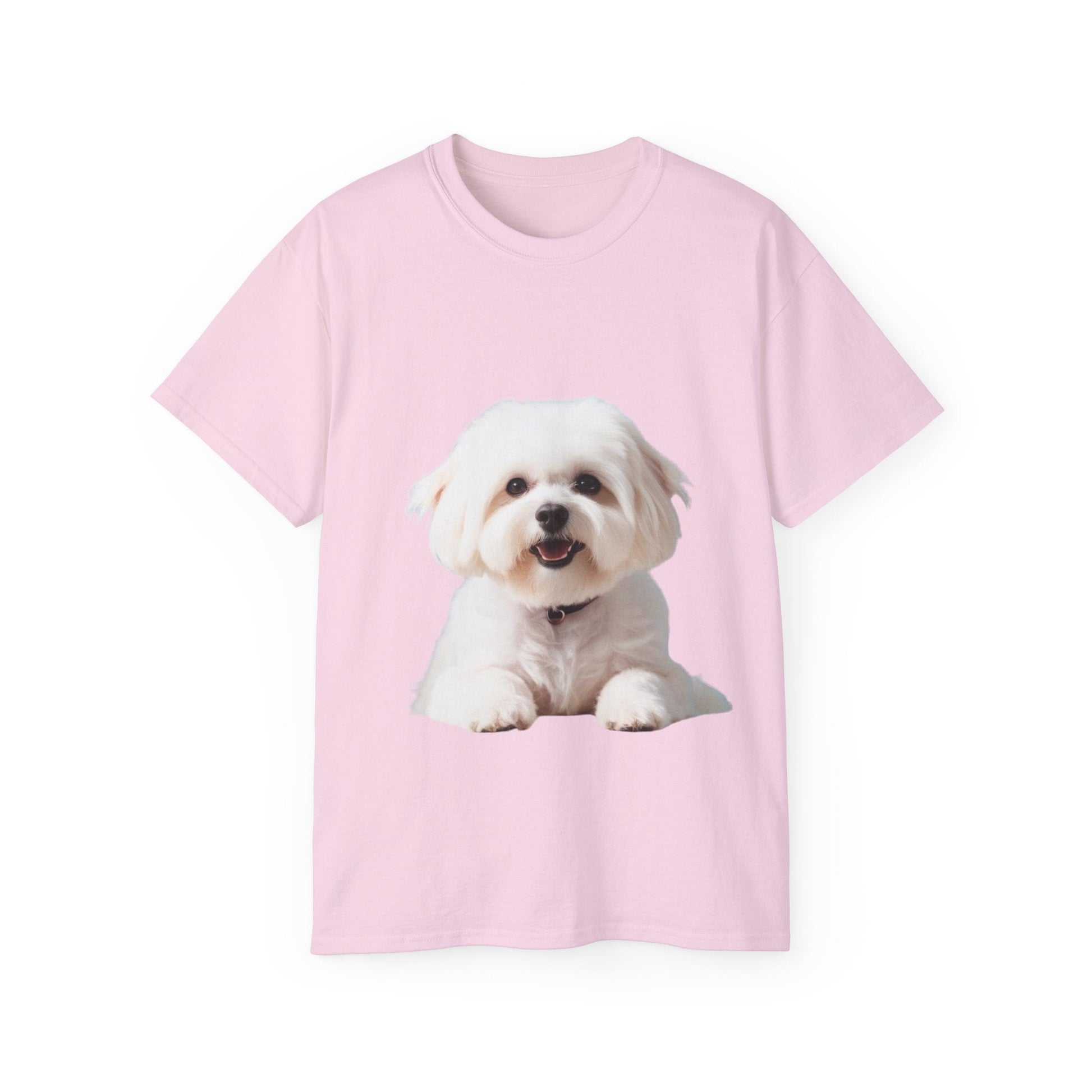 🐕 Bichon Frisé - Maglietta Unisex Ultra Cotone con Design Esclusivo - Aky & Co.