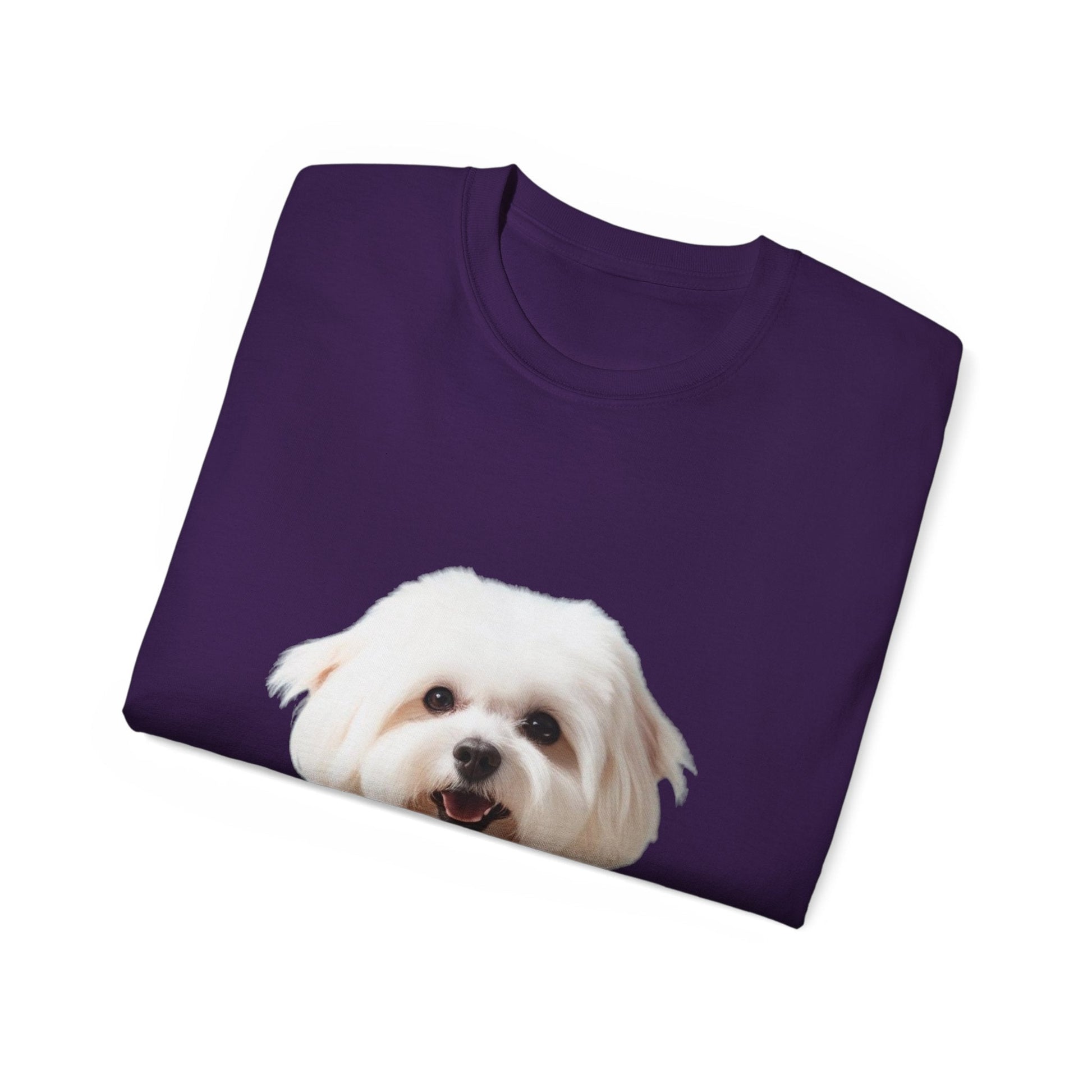 🐕 Bichon Frisé - Maglietta Unisex Ultra Cotone con Design Esclusivo - Aky & Co.