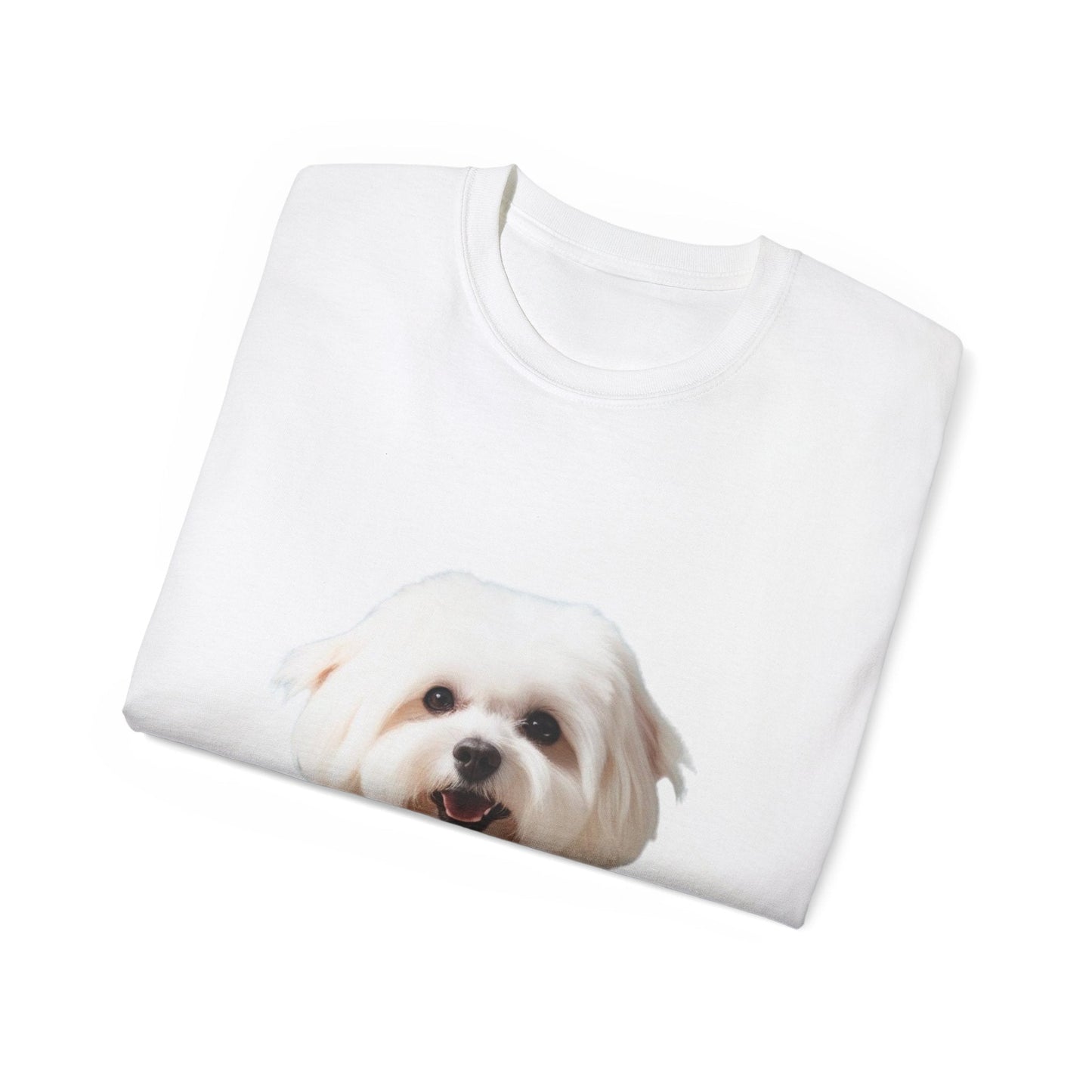 🐕 Bichon Frisé - Maglietta Unisex Ultra Cotone con Design Esclusivo - Aky & Co.
