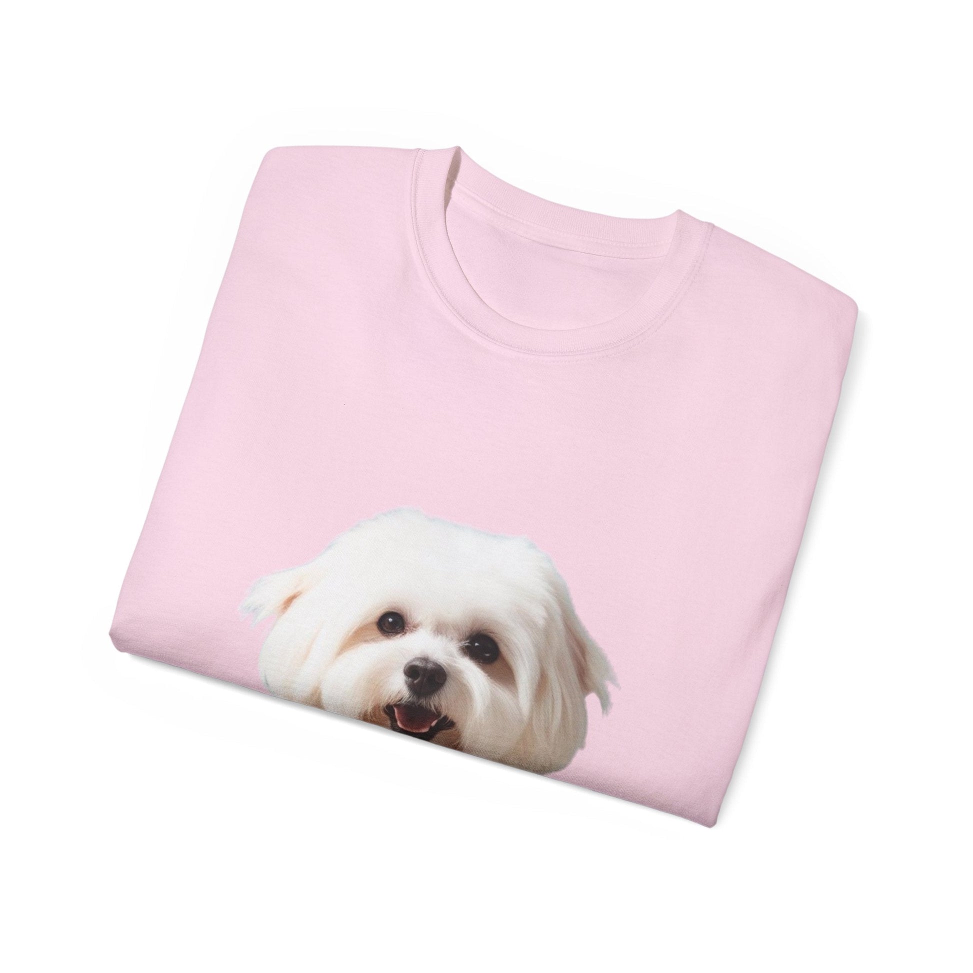 🐕 Bichon Frisé - Maglietta Unisex Ultra Cotone con Design Esclusivo - Aky & Co.