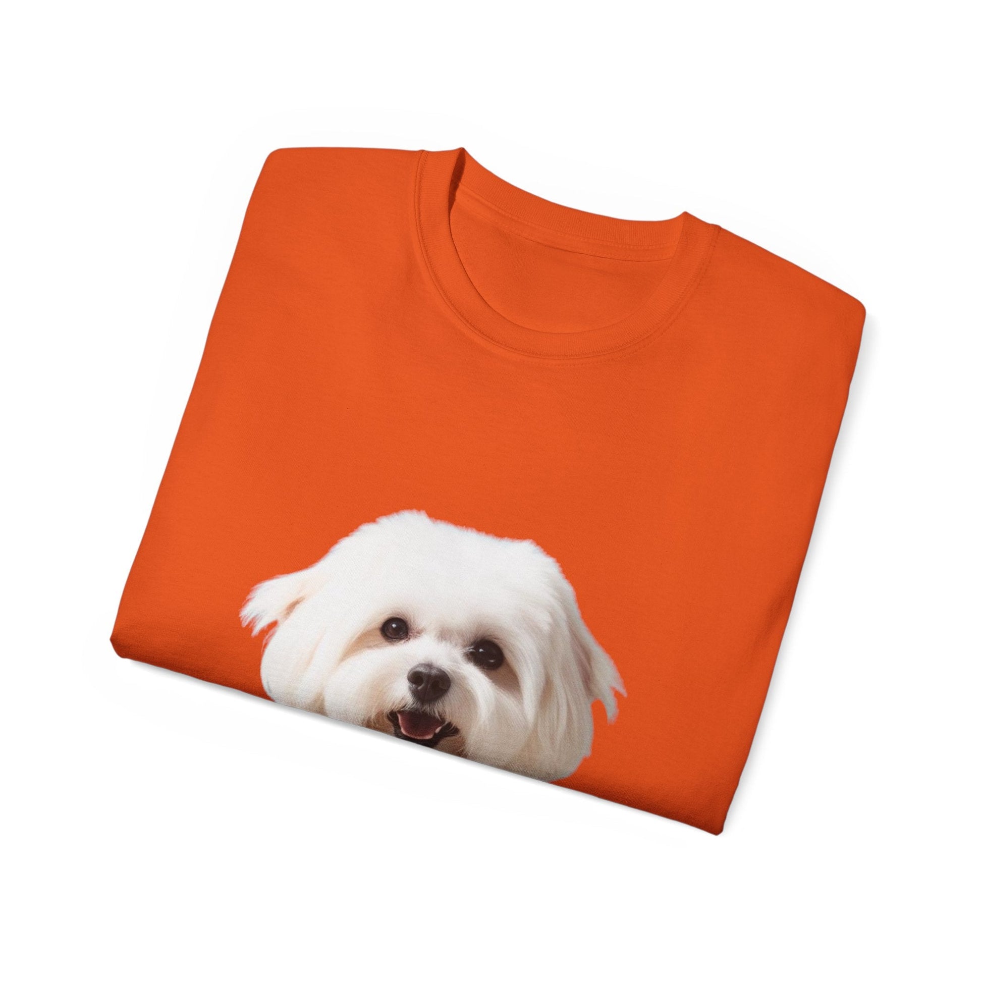 🐕 Bichon Frisé - Maglietta Unisex Ultra Cotone con Design Esclusivo - Aky & Co.