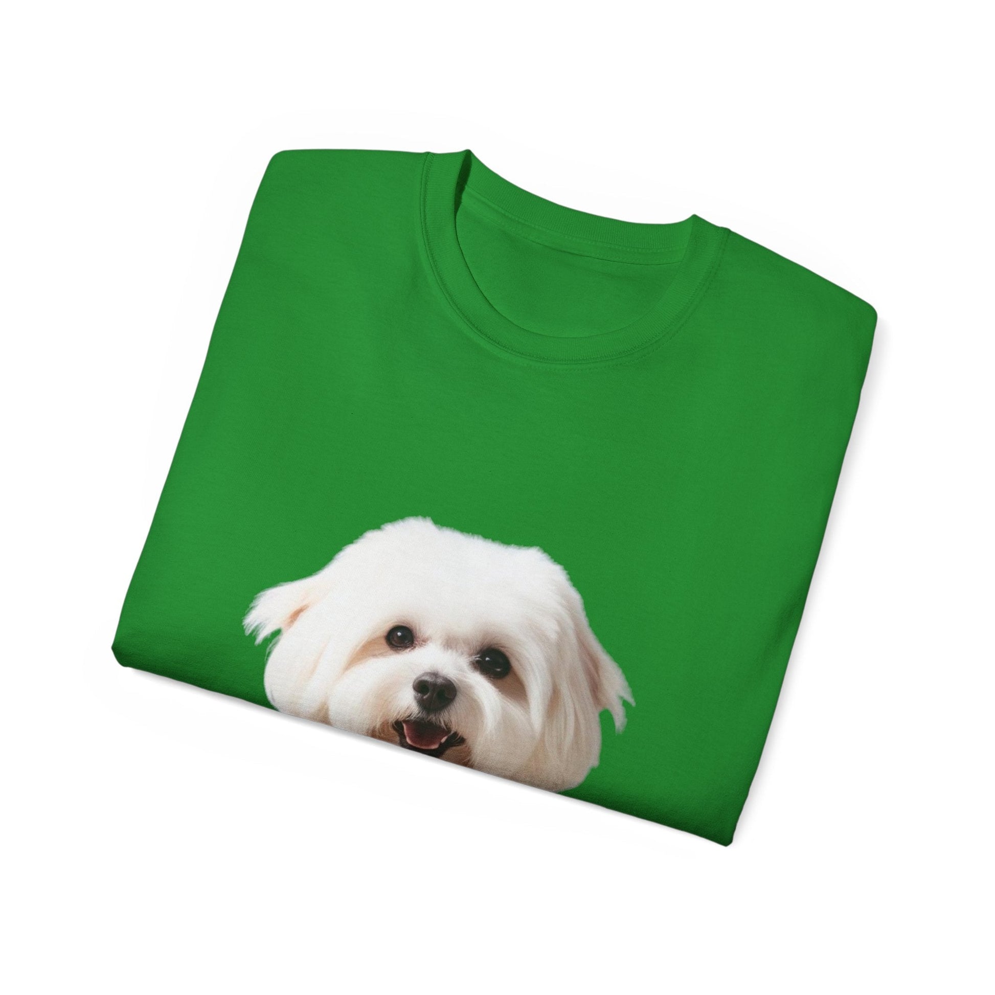 🐕 Bichon Frisé - Maglietta Unisex Ultra Cotone con Design Esclusivo - Aky & Co.