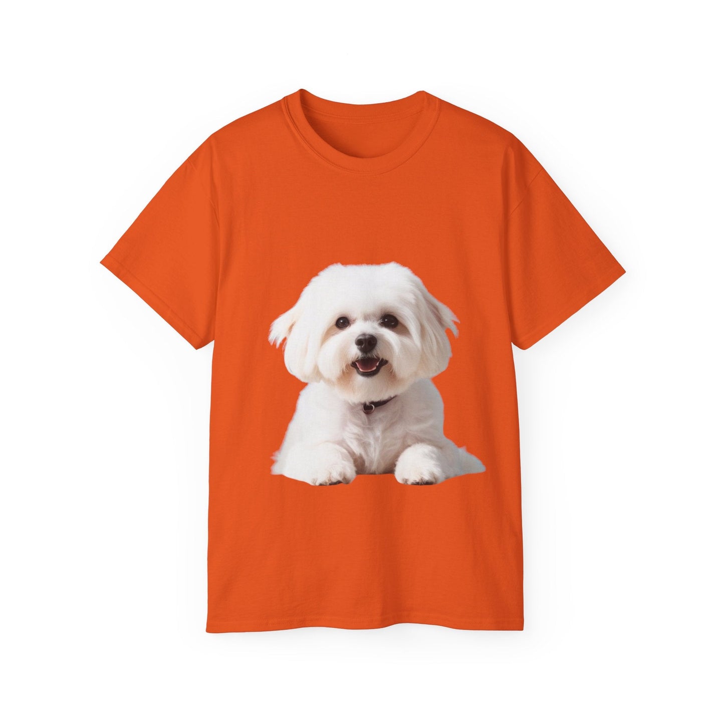 🐕 Bichon Frisé - Maglietta Unisex Ultra Cotone con Design Esclusivo - Aky & Co.