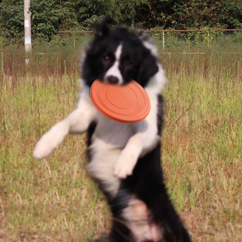 Frisbee Interattivo per Cani - Giocattolo Galleggiante e Resistente ai Morsi per Addestramento e Divertimento - AKYCO