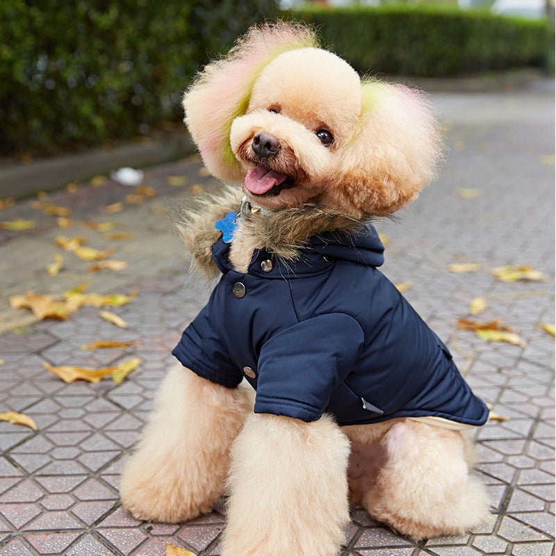 Giacca con Cappuccio per Cani - Abbigliamento Elegante e Comfort per Ogni Taglia - Aky & Co.
