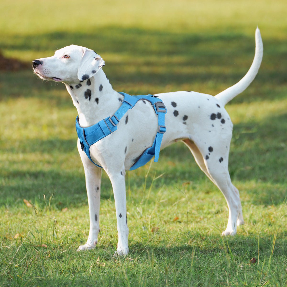 Imbracatura di sicurezza per cani, con funzione No - pull, durevole e comoda, adatta per cuccioli e cani di taglia media e grande, con riflettenti 3M. - Aky & Co.