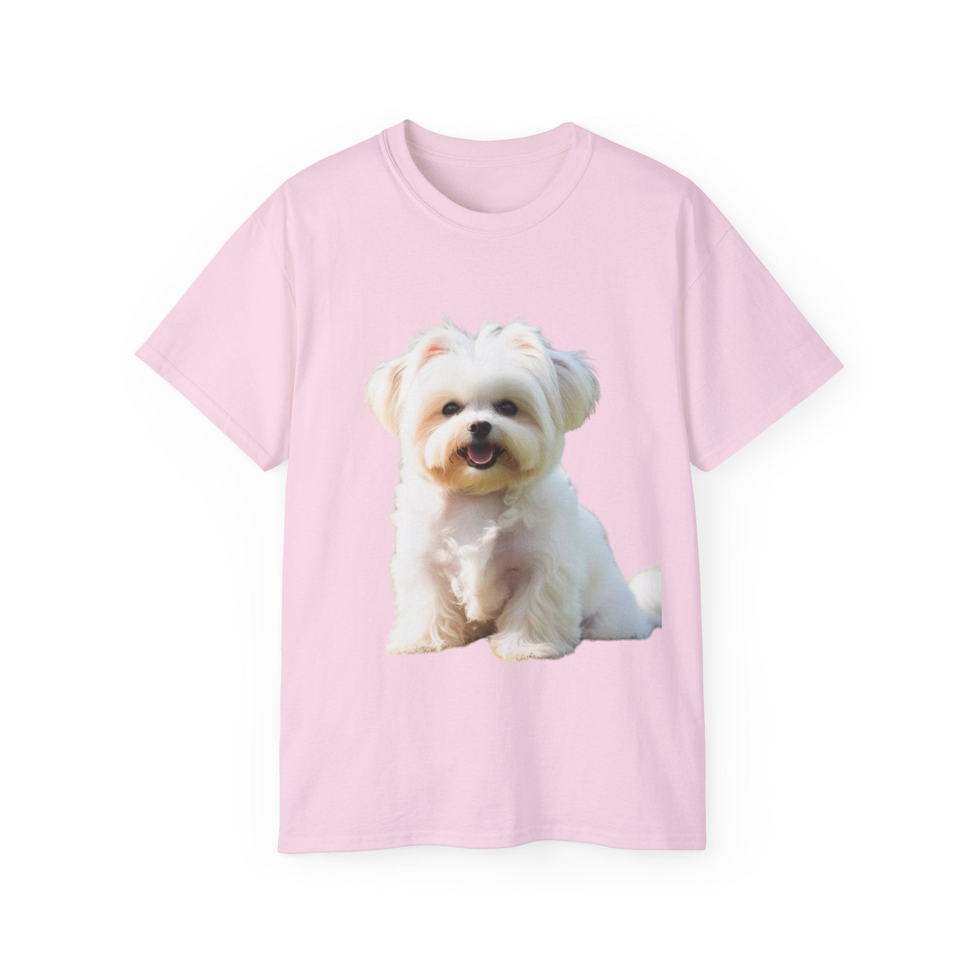 🐕 MAGLIETTA BICHON MALTEZ RITRATO - Maglietta Unisex Ultra Cotone - Aky & Co.