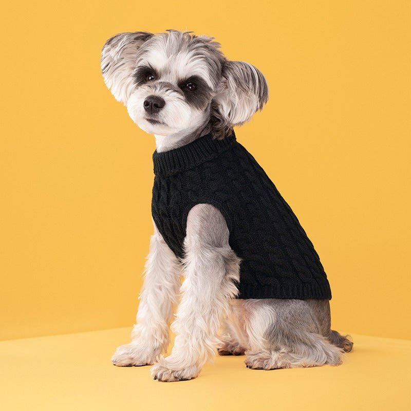 Maglione dolcevita spesso in tinta unita classico con motivo a intreccio di pasta fritta per cani e gatti in autunno e inverno - Aky & Co.