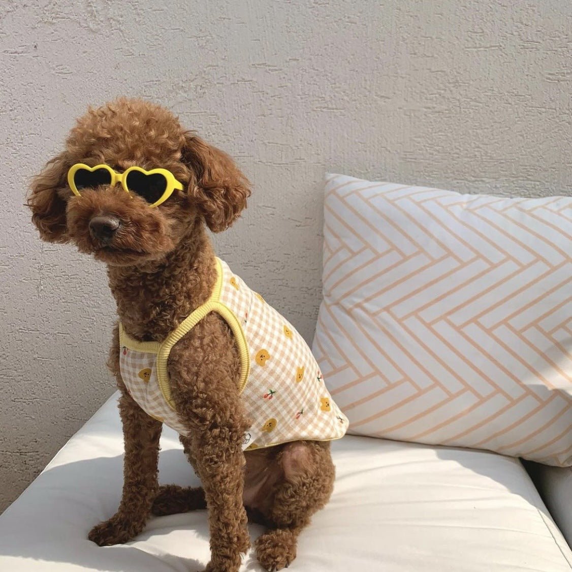 Occhiali da Sole Creativi per Cani e Gatti - Accessori alla Moda per Animali - Aky & Co.