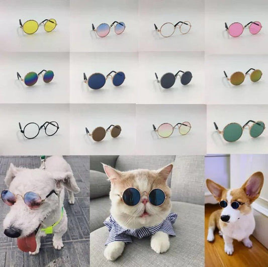 Occhiali per Animali Domestici – Occhiali da Sole Per Cane e Gatto, Moda e Protezione UV - Aky & Co.