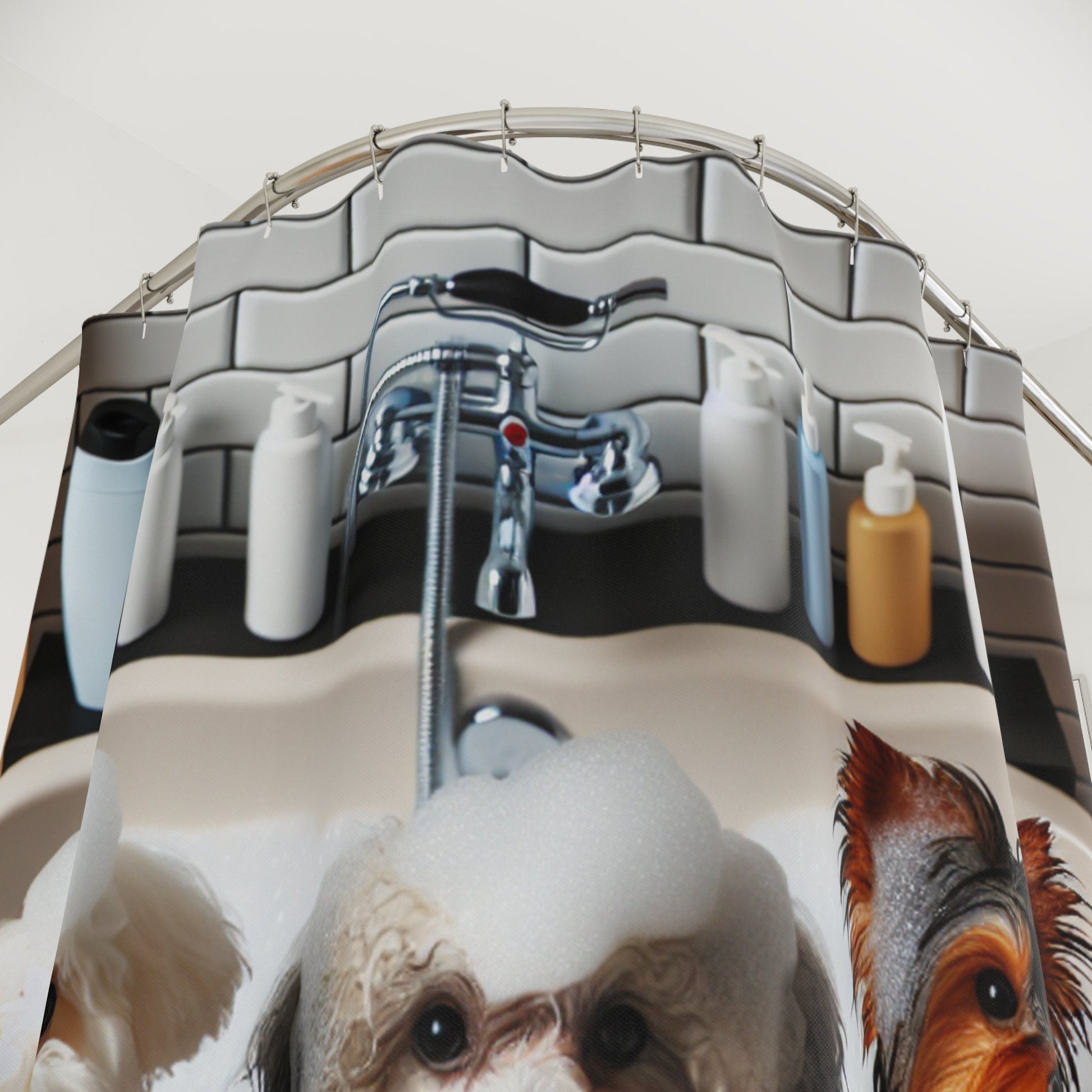 Tenda da Doccia con Adorabili Yorkshire Terrier, Maltese e Barboncino - Design Divertente per Amanti dei Cani - Aky & Co.